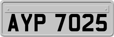 AYP7025