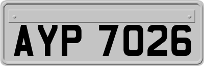 AYP7026