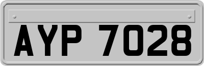 AYP7028