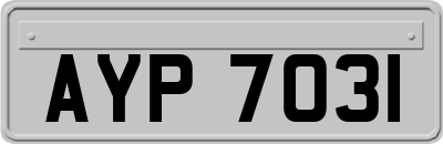 AYP7031