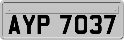 AYP7037