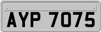 AYP7075