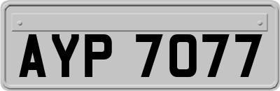 AYP7077