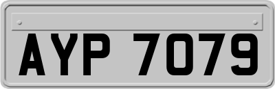 AYP7079
