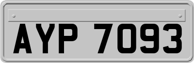 AYP7093