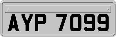 AYP7099