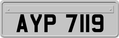 AYP7119