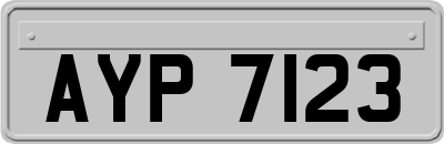 AYP7123