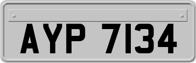 AYP7134