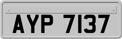 AYP7137
