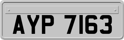 AYP7163