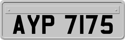 AYP7175
