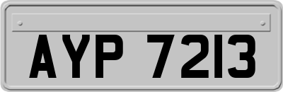 AYP7213