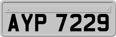 AYP7229