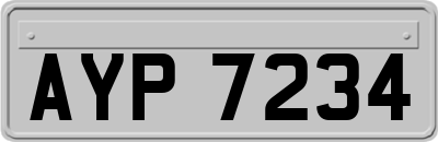 AYP7234