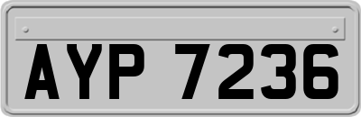 AYP7236
