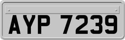 AYP7239