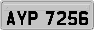 AYP7256