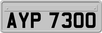 AYP7300