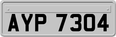 AYP7304