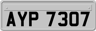 AYP7307