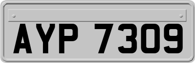 AYP7309
