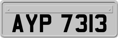 AYP7313