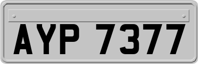AYP7377