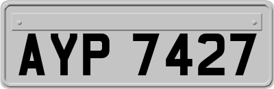 AYP7427