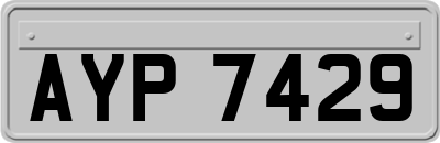 AYP7429