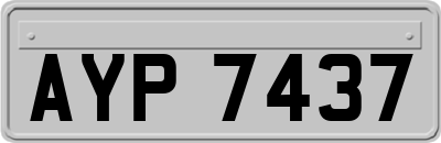AYP7437
