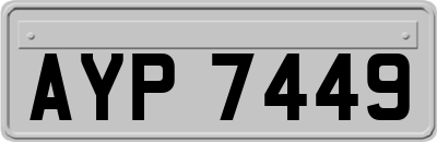 AYP7449