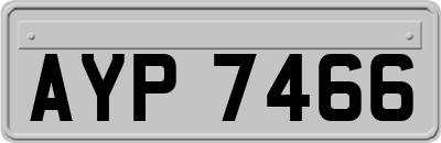 AYP7466