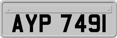 AYP7491