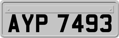 AYP7493
