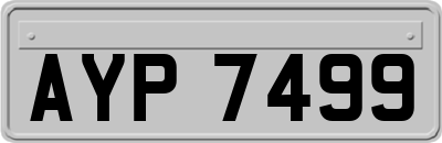 AYP7499