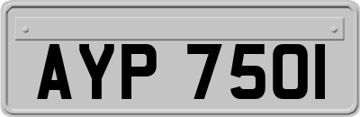 AYP7501