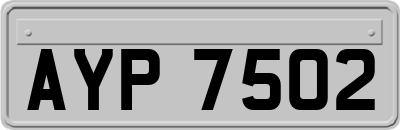 AYP7502