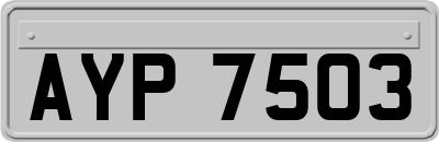 AYP7503