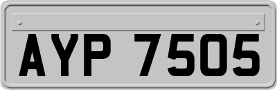 AYP7505