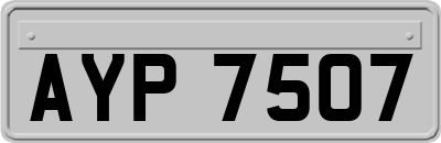 AYP7507