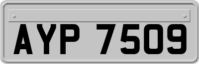 AYP7509