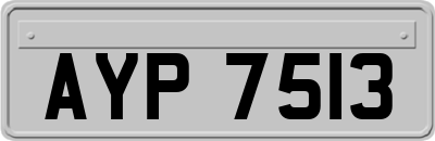 AYP7513