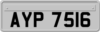 AYP7516