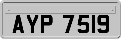 AYP7519