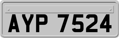 AYP7524