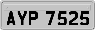AYP7525