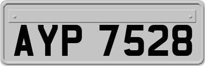AYP7528