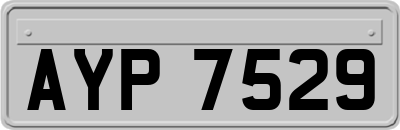 AYP7529