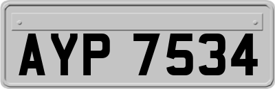 AYP7534